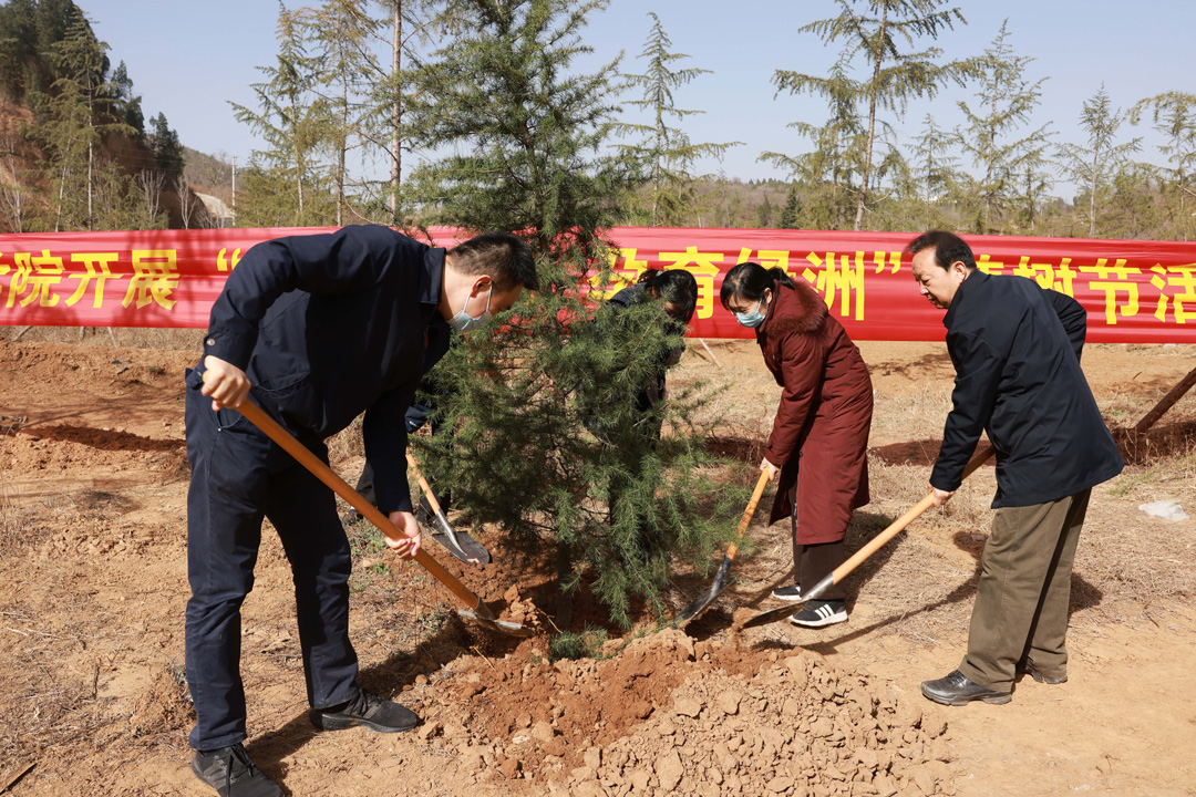 参与植树的师生分工协作、相互配合