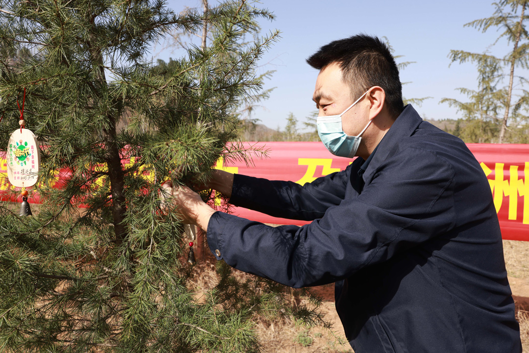 参与植树的师生分工协作、相互配合