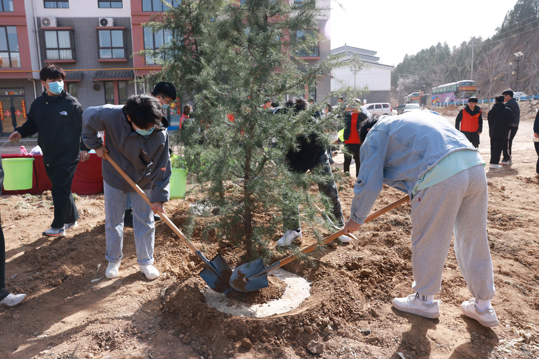 参与植树的师生分工协作、相互配合